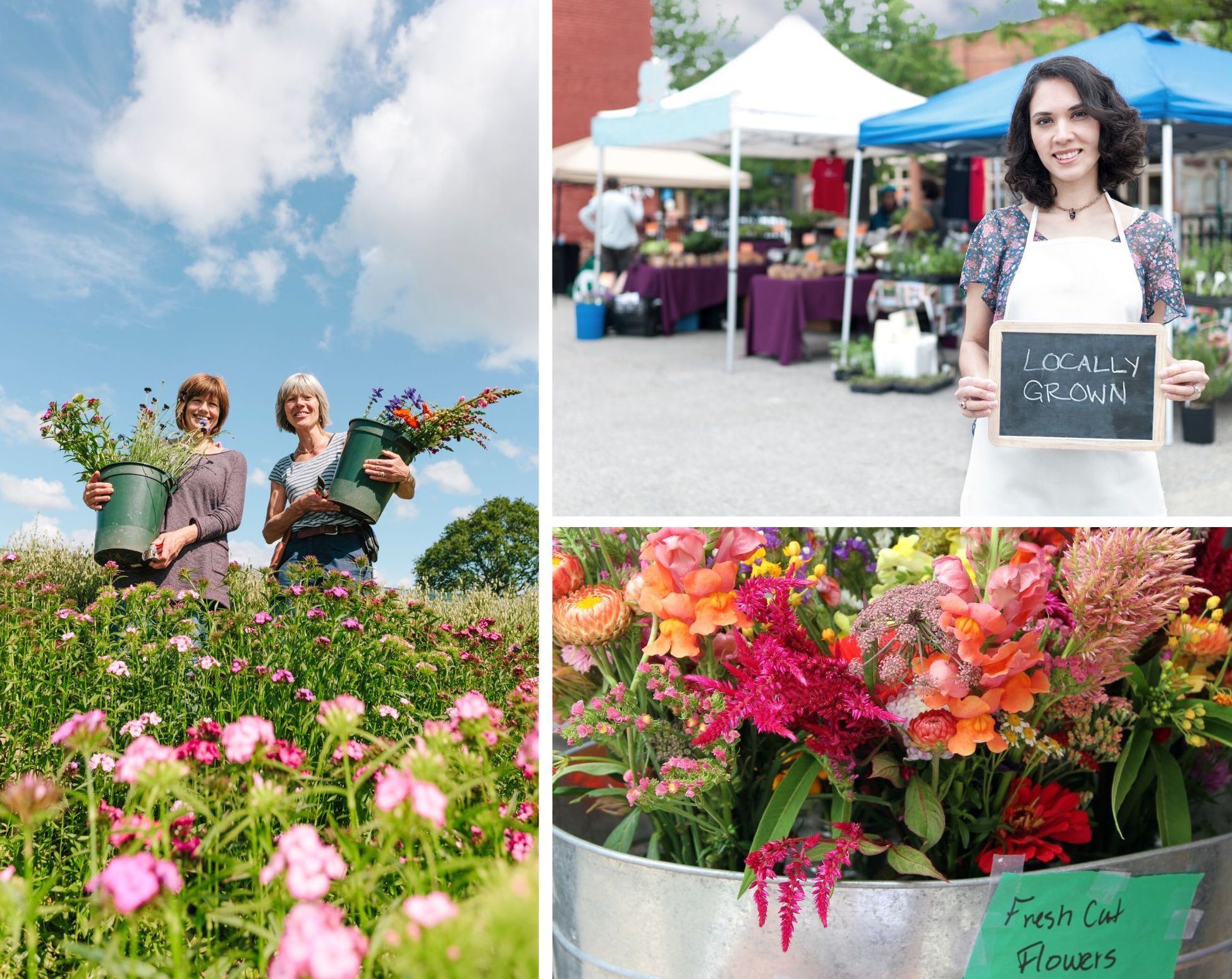 How Eco-Friendly Flowers are Changing the Game