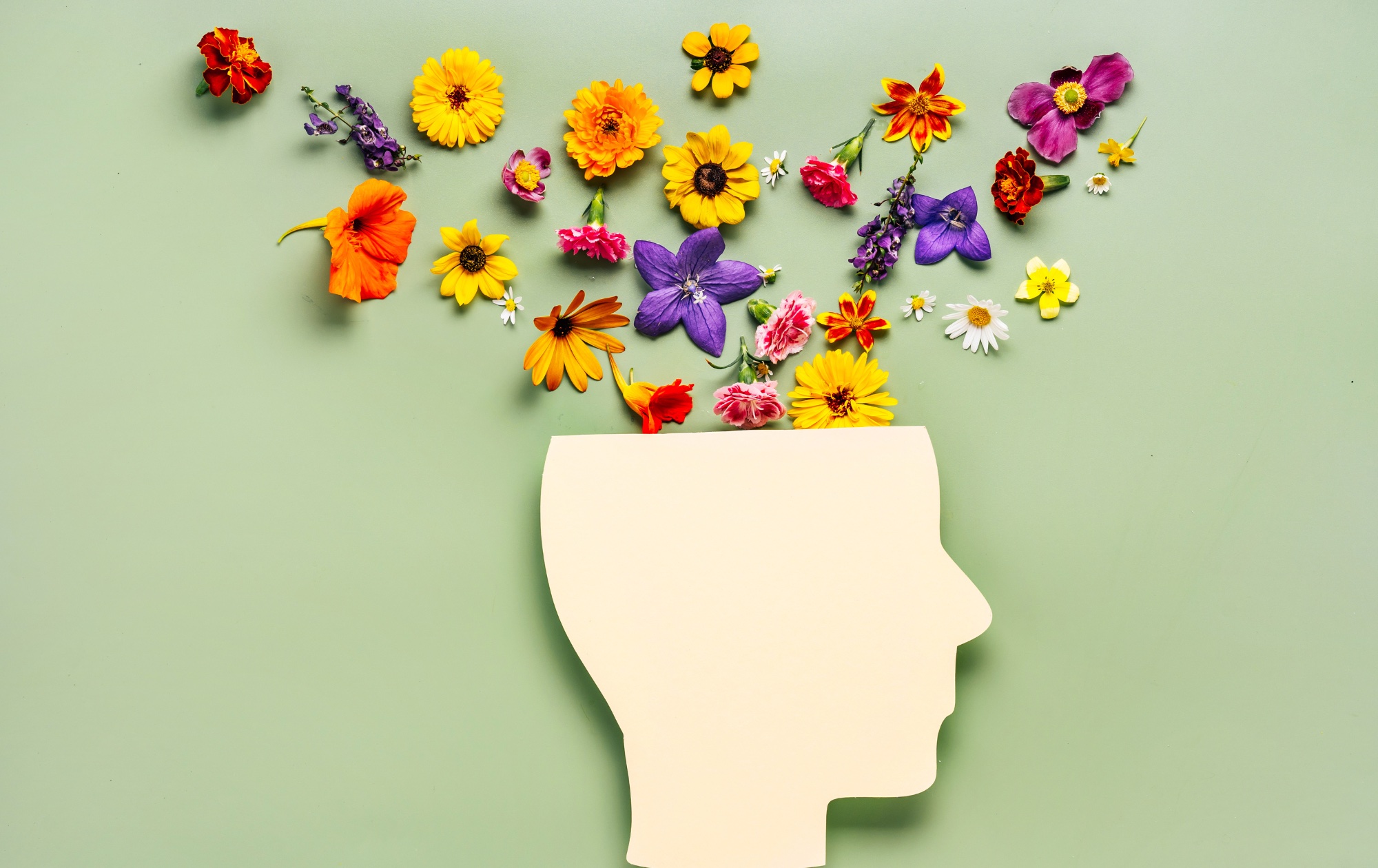 The Health Benefits of Gardening